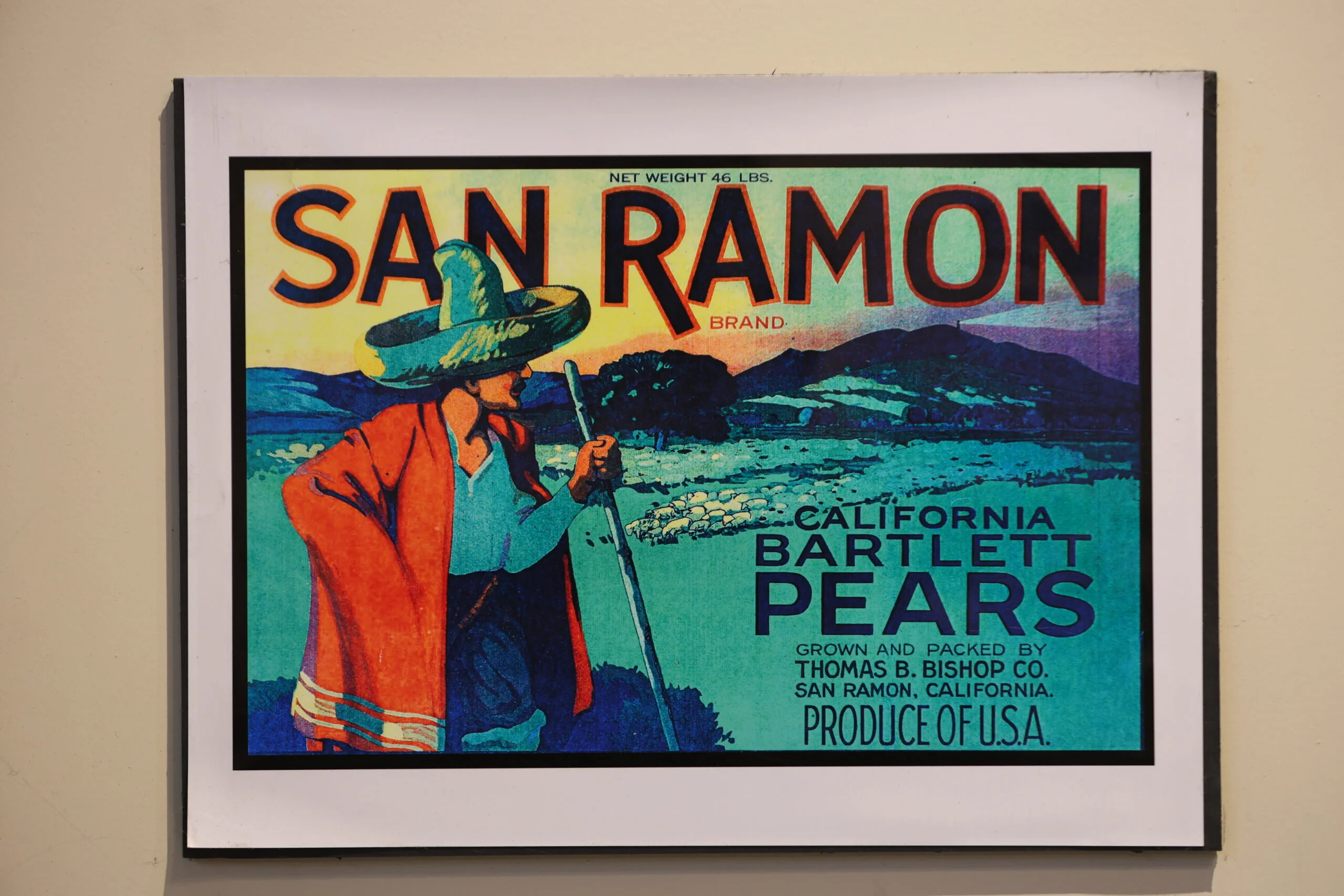California Bartlett Pears Poster